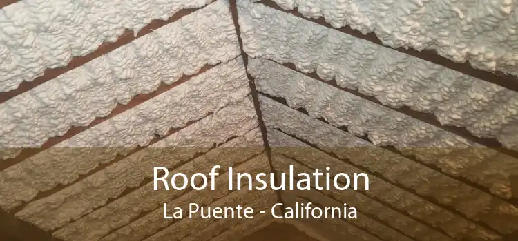 Roof Insulation La Puente - California