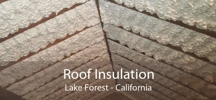 Roof Insulation Lake Forest - California