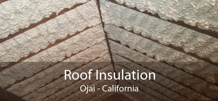 Roof Insulation Ojai - California