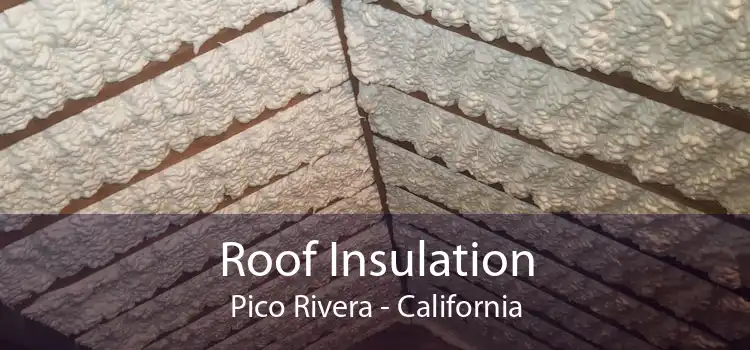 Roof Insulation Pico Rivera - California