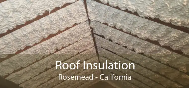 Roof Insulation Rosemead - California