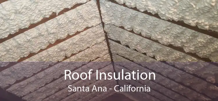 Roof Insulation Santa Ana - California