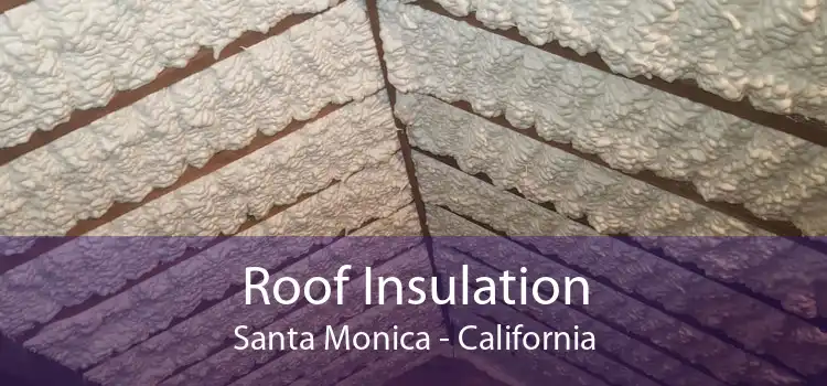 Roof Insulation Santa Monica - California