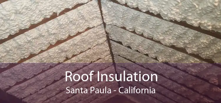 Roof Insulation Santa Paula - California