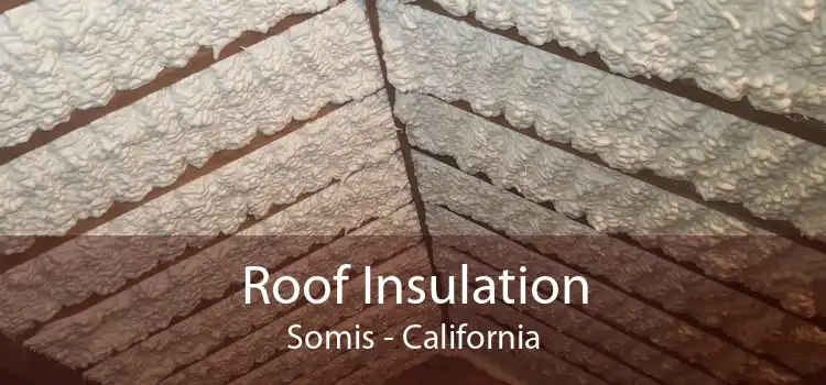 Roof Insulation Somis - California