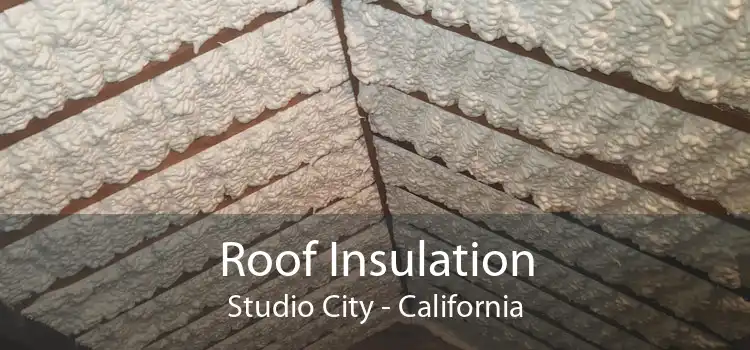 Roof Insulation Studio City - California