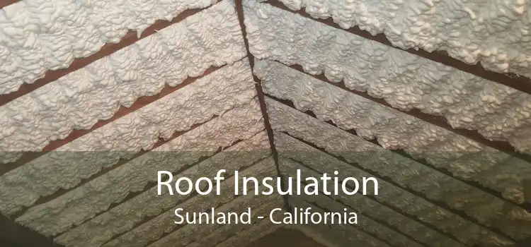 Roof Insulation Sunland - California