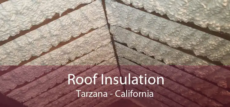 Roof Insulation Tarzana - California