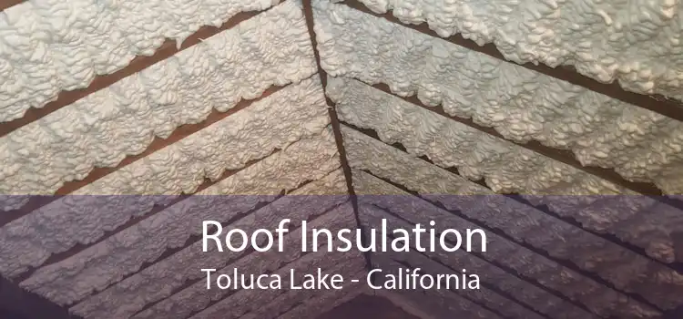 Roof Insulation Toluca Lake - California