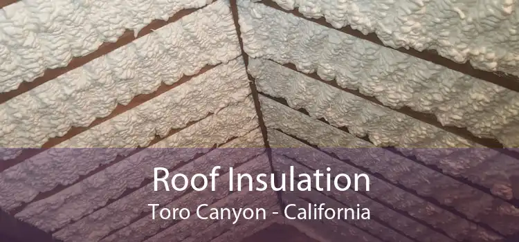 Roof Insulation Toro Canyon - California