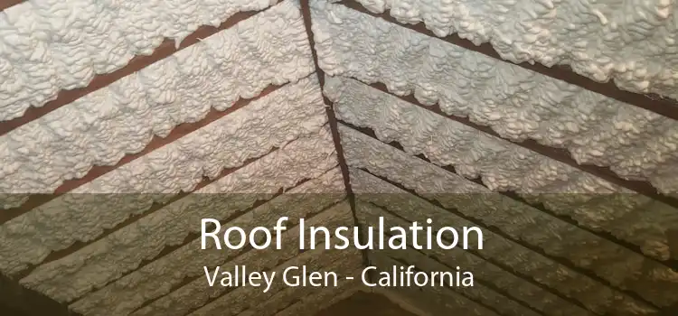 Roof Insulation Valley Glen - California