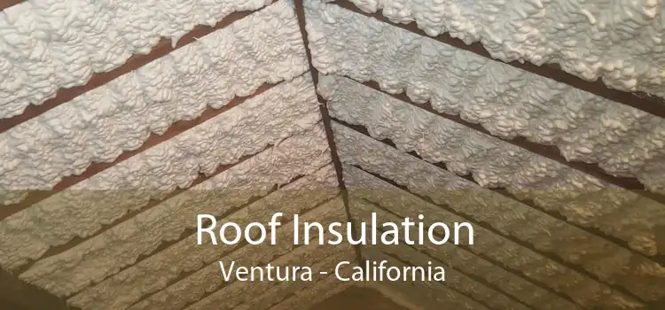 Roof Insulation Ventura - California