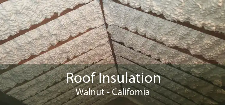 Roof Insulation Walnut - California