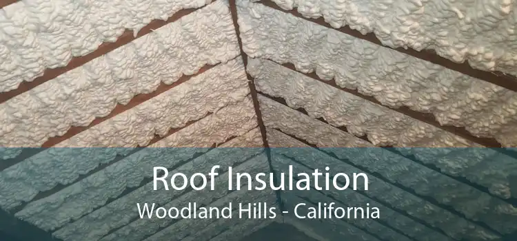 Roof Insulation Woodland Hills - California