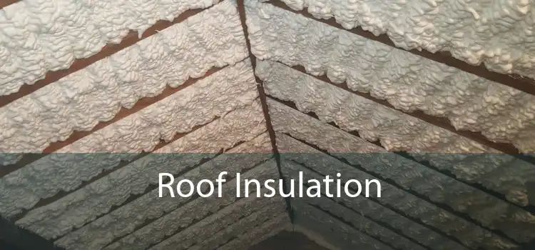 Roof Insulation 