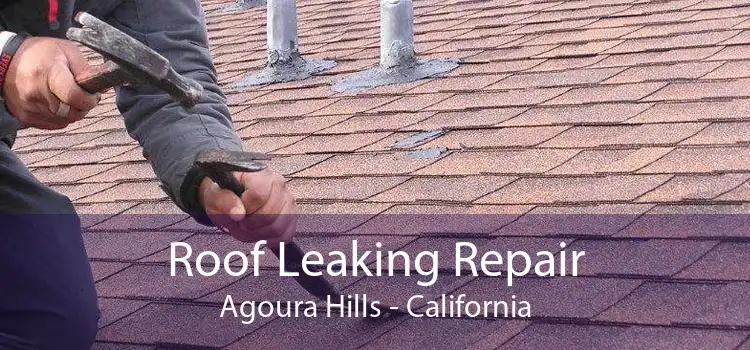 Roof Leaking Repair Agoura Hills - California