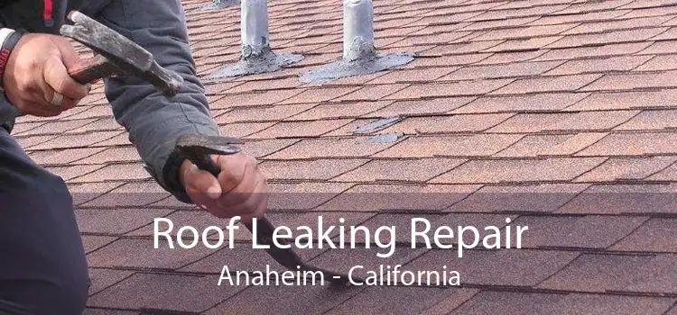 Roof Leaking Repair Anaheim - California