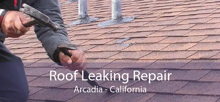 Roof Leaking Repair Arcadia - California