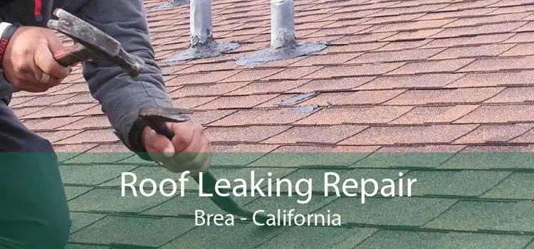 Roof Leaking Repair Brea - California