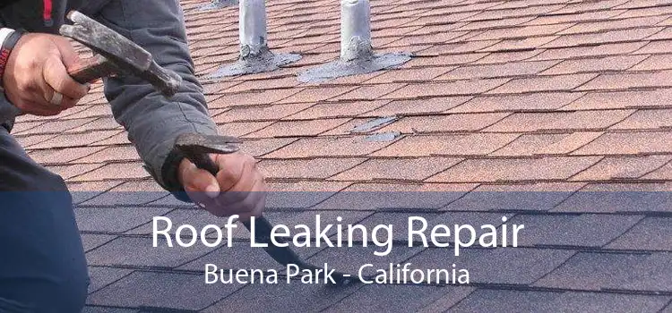 Roof Leaking Repair Buena Park - California