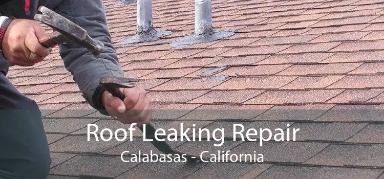 Roof Leaking Repair Calabasas - California