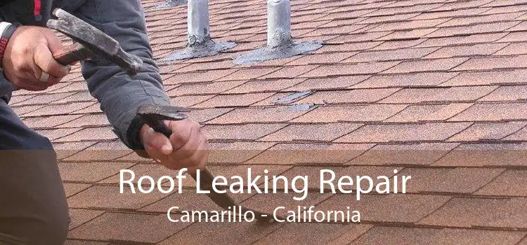 Roof Leaking Repair Camarillo - California