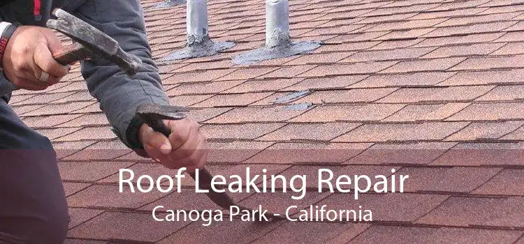 Roof Leaking Repair Canoga Park - California