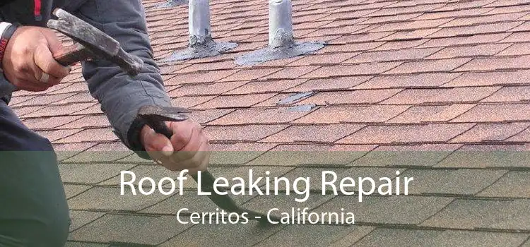 Roof Leaking Repair Cerritos - California