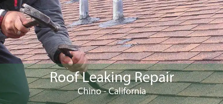 Roof Leaking Repair Chino - California