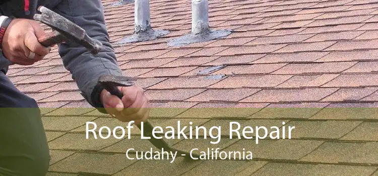 Roof Leaking Repair Cudahy - California