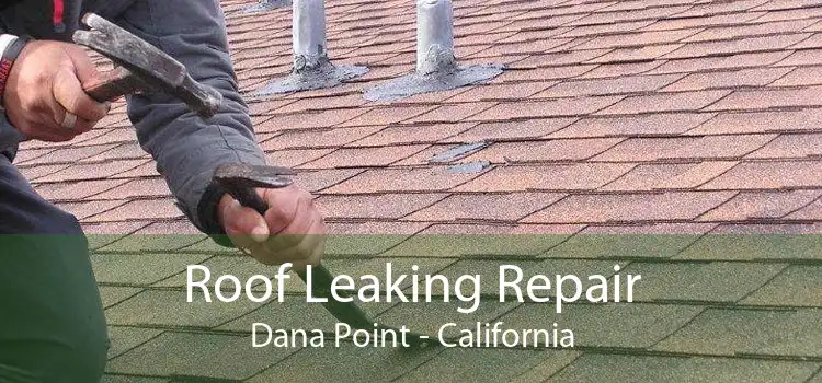 Roof Leaking Repair Dana Point - California