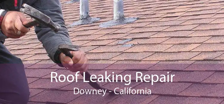 Roof Leaking Repair Downey - California