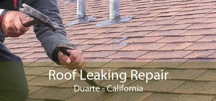 Roof Leaking Repair Duarte - California