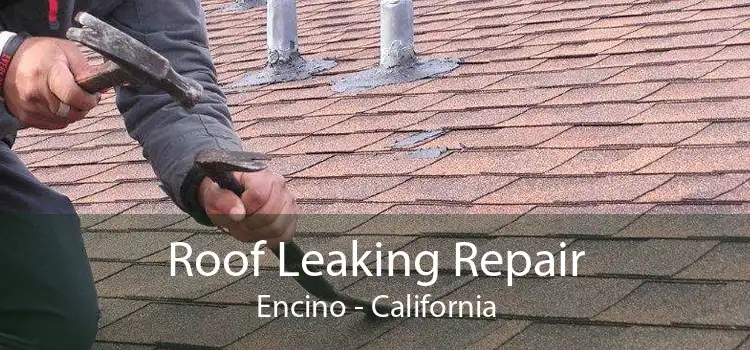 Roof Leaking Repair Encino - California