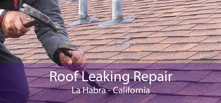 Roof Leaking Repair La Habra - California