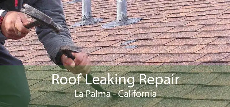 Roof Leaking Repair La Palma - California