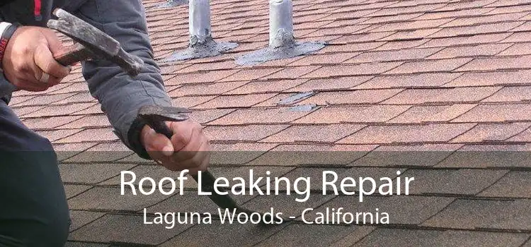 Roof Leaking Repair Laguna Woods - California