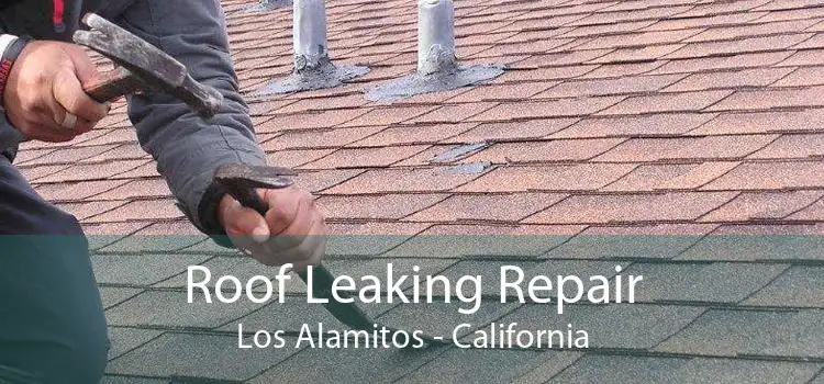 Roof Leaking Repair Los Alamitos - California