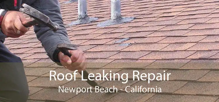 Roof Leaking Repair Newport Beach - California