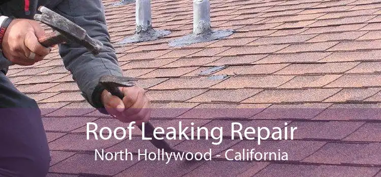 Roof Leaking Repair North Hollywood - California