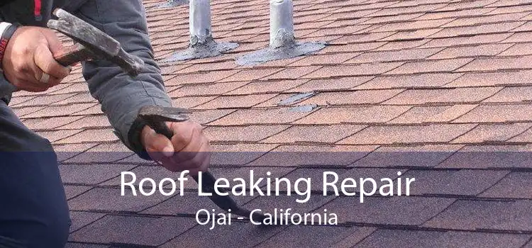 Roof Leaking Repair Ojai - California