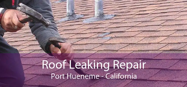 Roof Leaking Repair Port Hueneme - California