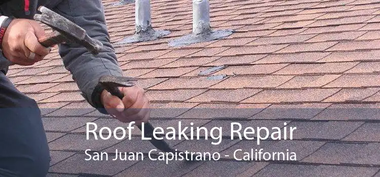 Roof Leaking Repair San Juan Capistrano - California