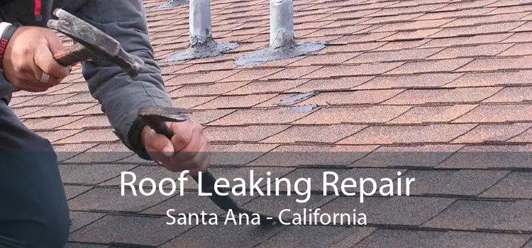 Roof Leaking Repair Santa Ana - California