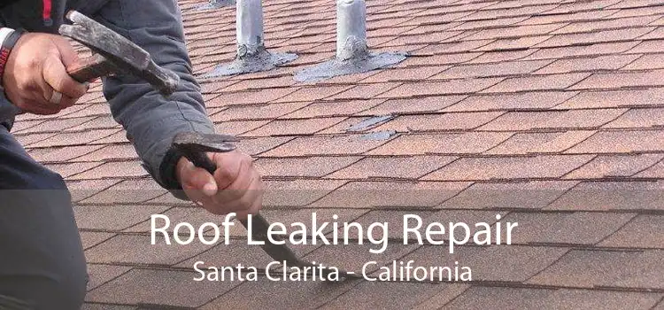 Roof Leaking Repair Santa Clarita - California