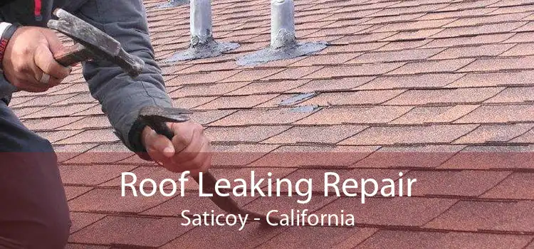 Roof Leaking Repair Saticoy - California