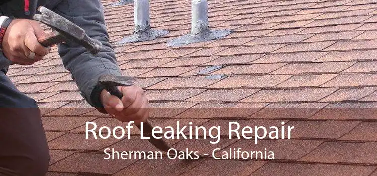 Roof Leaking Repair Sherman Oaks - California