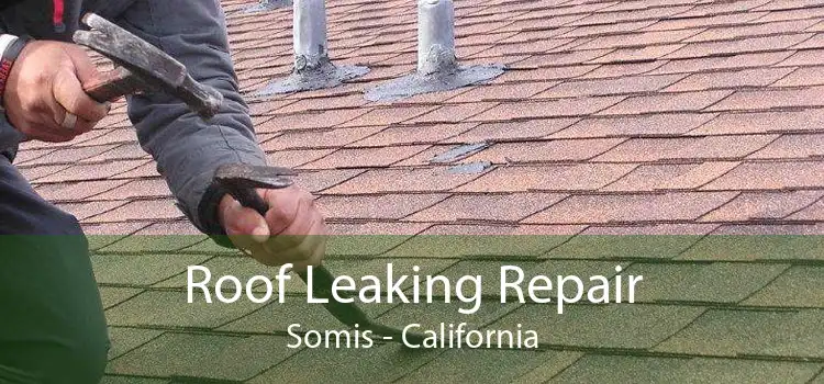 Roof Leaking Repair Somis - California