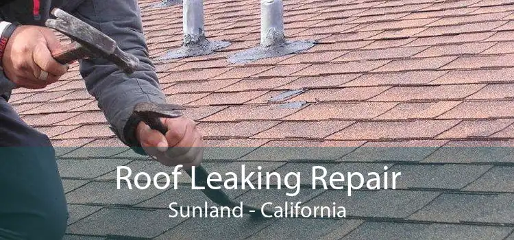 Roof Leaking Repair Sunland - California