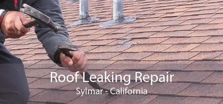 Roof Leaking Repair Sylmar - California